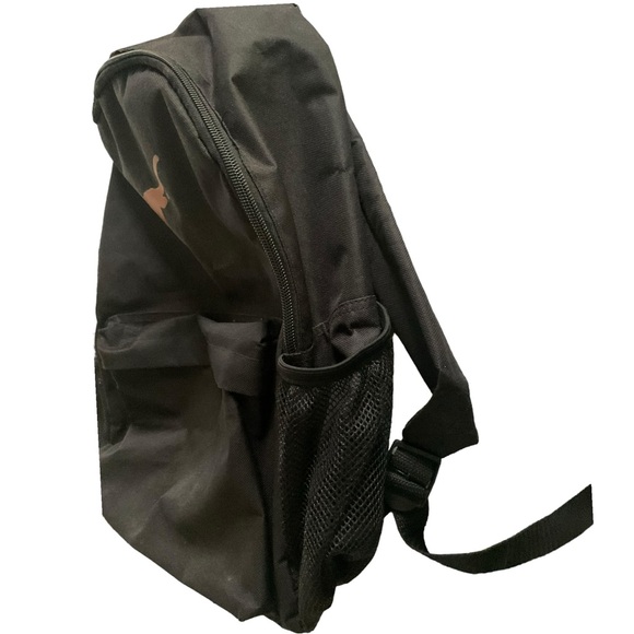 Texas Longhorns Black Backpack - Picture 6 of 7